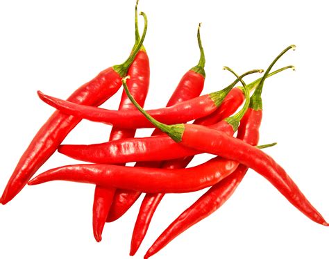 辣椒|Chili pepper